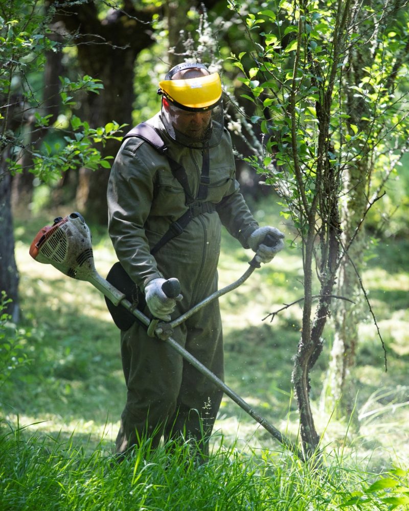 Gardener performing weed abatement